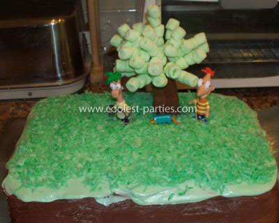 Phineas  Ferb Birthday Cake on Phineas And Ferb Cake