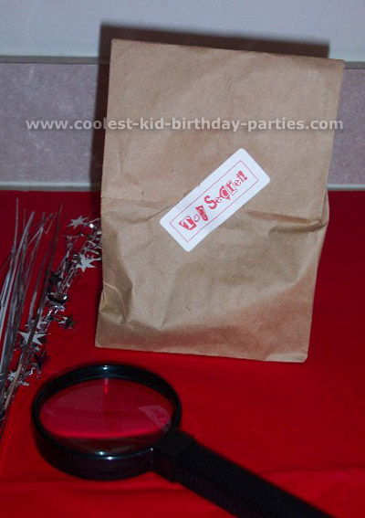 Tabitha's Secret Agent Party Tale Birthday Idea