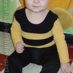 Coolest Bumble Bee Party Ideas and Photos