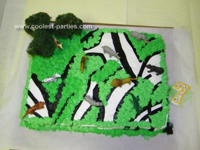 Coolest Safari Theme Party for a 7 Year Old